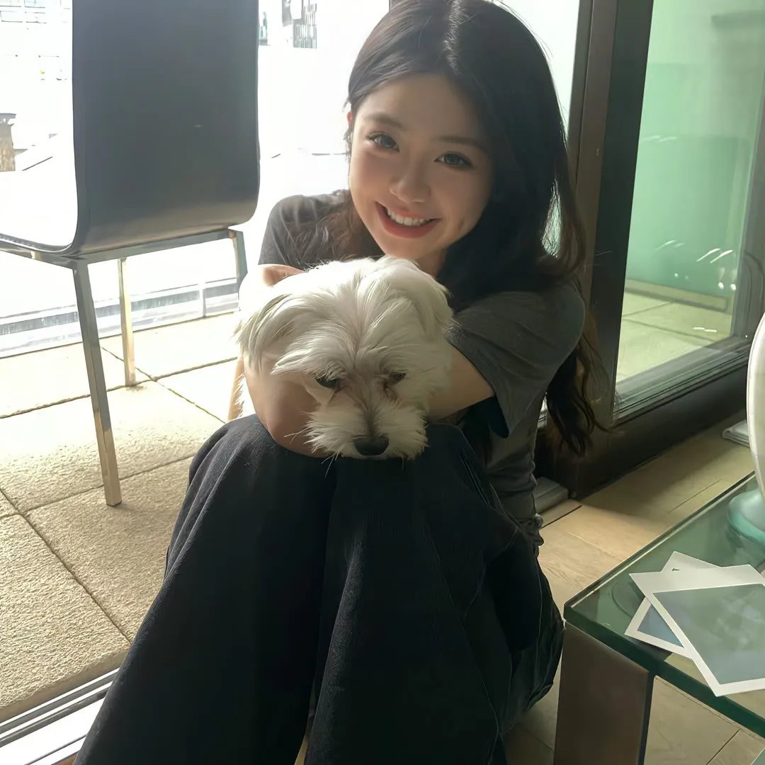 生活残骸海报